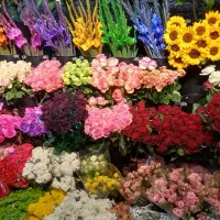استخدام نیروی کار در گلفروشی