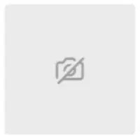 تعدادی کبوتر پرشی و غیره به فروش میرسد