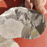 سنگ چخماق فسیلی کلکسیون با قدمت بالا|کلکسیون اشیاء عتیقه|تهران, توحید|دیوار