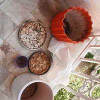 گلدان و خاک|گل و گیاه طبیعی|تهران, هروی|دیوار