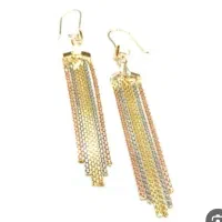 یک لنگه گوشواره پیدا شده