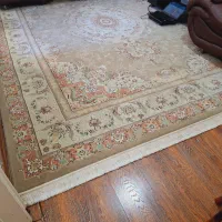 قالی سلیمان