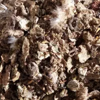 کود کفتری|خدمات باغبانی و درختکاری|زرند, |دیوار