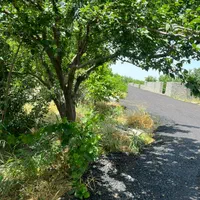 باغچه درختی قدیمی آب کشاورزی برق