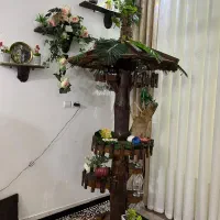 بار درختی ایستاده|بوفه، ویترین، کنسول|بهبهان, |دیوار