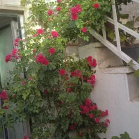 خانه ویلای فارسان ۱۸۵متر بلوار شهدا کوچه ۲۹