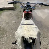 موتور یاماها ۱۰۰