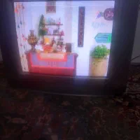 تلویزیون۲۱|تلویزیون و پروژکتور|تبریز, |دیوار