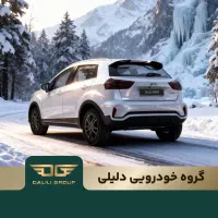 بک ایکس3 / نقدی 3 مرحله ای / گروه خودرویی دلیلی|خودرو سواری و وانت|کرمان, |دیوار