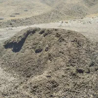 پهن گوسفند  باغچه باغ