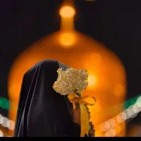 دلتـنگ امام هشتم./(