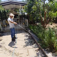 کارشناس ارشد باغبانی و فضای سبز|خدمات باغبانی و درختکاری|تهران, شاهین|دیوار