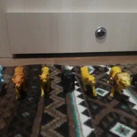 عروسک|اسباب‌بازی بچه|تبریز, |دیوار