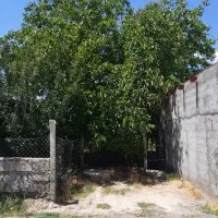 فروش باغ در محدوده ملکان|فروش زمین و ملک کلنگی|ملکان, |دیوار