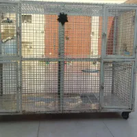 قفس پرنده|لوازم جانبی حیوانات|بندر ماهشهر, |دیوار