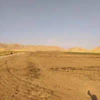 اجاره 14هکتار زمین کشاورزی سیستمی برای چغندرگندم|اجارهٔ دفتر صنعتی، کشاورزی، تجاری|سرپل ذهاب, |دیوار