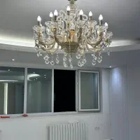 یکجفتلوستر ۱۲ شاخه