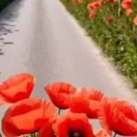 وام امتیازطرح مهربانی ومهر خریدارم