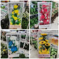 باکس گل مصنوعی رز گل شیشه ای جا قلمه پامپاس تنگ