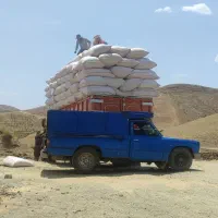 فروش نیسان دوگانه مدل98|خودرو سواری و وانت|مریوان, |دیوار