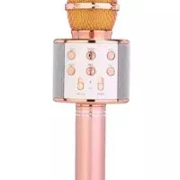 میکروفون برند اصلی