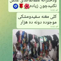 بدلیل رفتن شهرستان