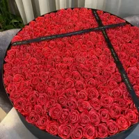 گل روبانی جاویدان