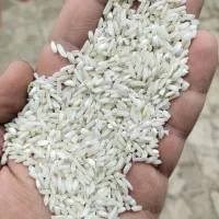 برنج هاشمی عطری|عمدهفروشی|رشت, جانبازان|دیوار