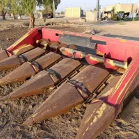 حد برداشت ذرت .کاپلو