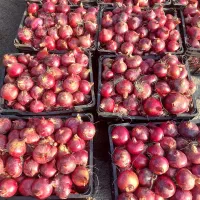 پباز|خوردنی و آشامیدنی|نوشین شهر, |دیوار