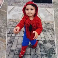 تبدیل عکس به تابلو فرش|تابلو فرش|زاهدان, |دیوار