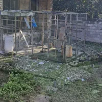 دو عدد لانه کبوتر با توری کاملا نو