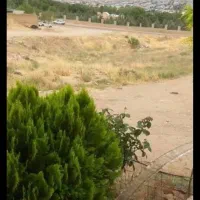 فروش-زمین-شهرک-زیتون-سرخه-حصار