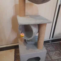 اسکچر سالم همراه باکس|لوازم جانبی حیوانات|تهران, توحید|دیوار