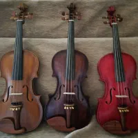 ویلن نیمه حرفه ای