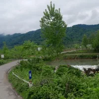 زمین در گیلان تالش هشتپر ۴۵۰۰متر حومه دریا