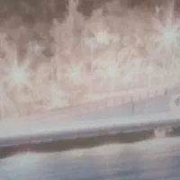 فروش زمین باغ