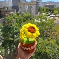 گالری فلورا (گل های پیپ پاک کنی)