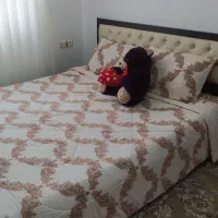 تخت دونفره باتشک