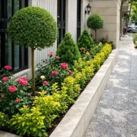 خدمات تخصصی باغبانی در سراسر کرج