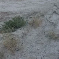 زمین مسکونی بخشان امام خمینی یکم