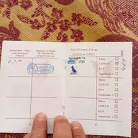 سگ دوبرمن|سگ|ماهدشت, |دیوار