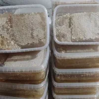 عسل صدرصدطبیعی