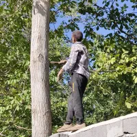 باغ-مایه-تفرش