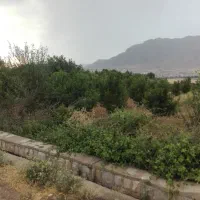 دمپایی پیدا شده