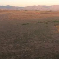 زمین کشاورزی.|فروش دفتر صنعتی، کشاورزی، تجاری|هریس, |دیوار