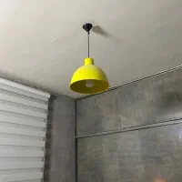 لوستر شیپوری