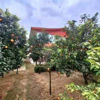 ویلاباغ 2500مترسندتکبرگ پروانه پایانکار فریدونکنار|فروش خانه و ویلا|آستانه سرا, |دیوار