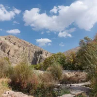 معاوضه باغ در فیروزکوه با آپارتمان یا خودرو|فروش زمین و ملک کلنگی|فیروزکوه, |دیوار