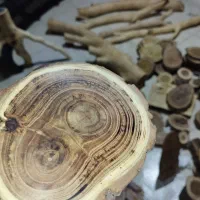 اسلایس چوب طبیعی توت و عقاقیا (درجه یک)